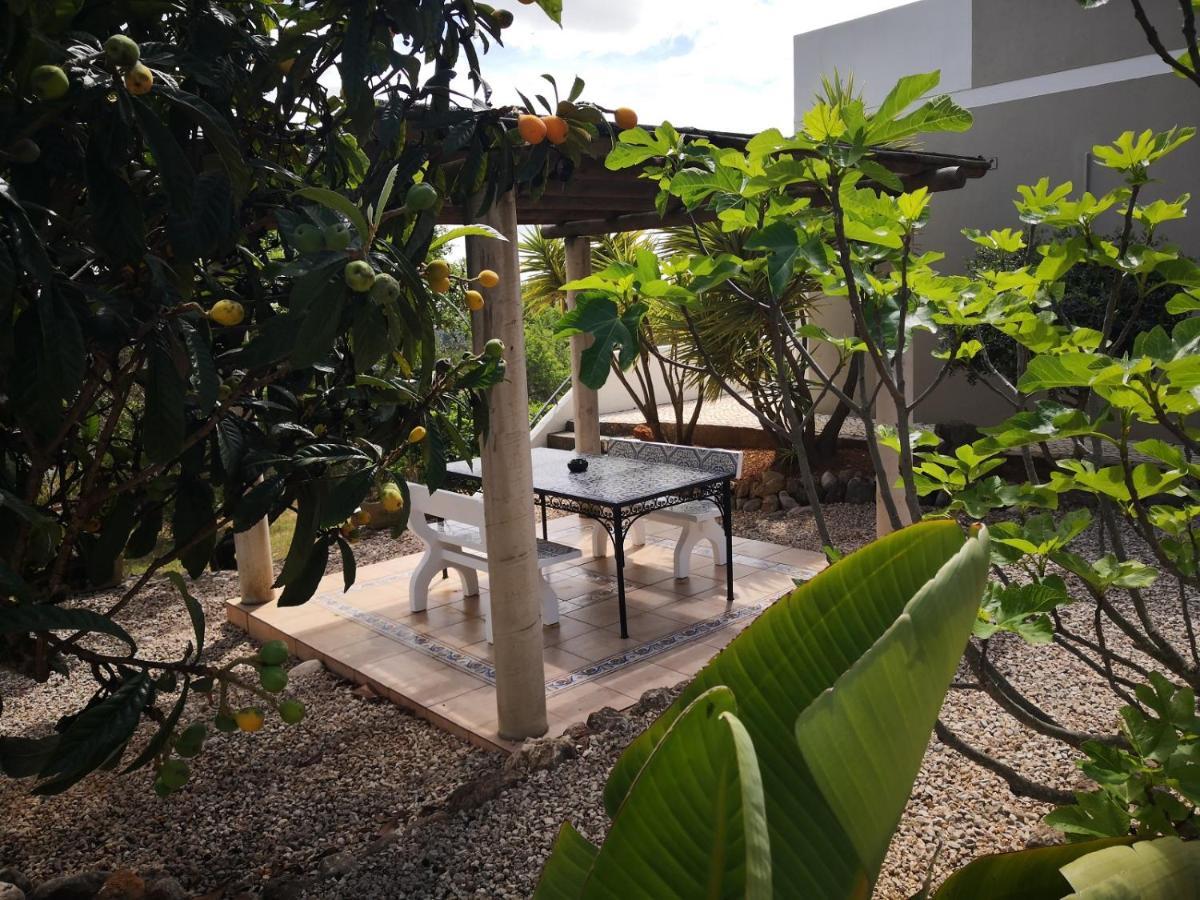 Casa Came Holiday home Sao Bartolomeu de Messines